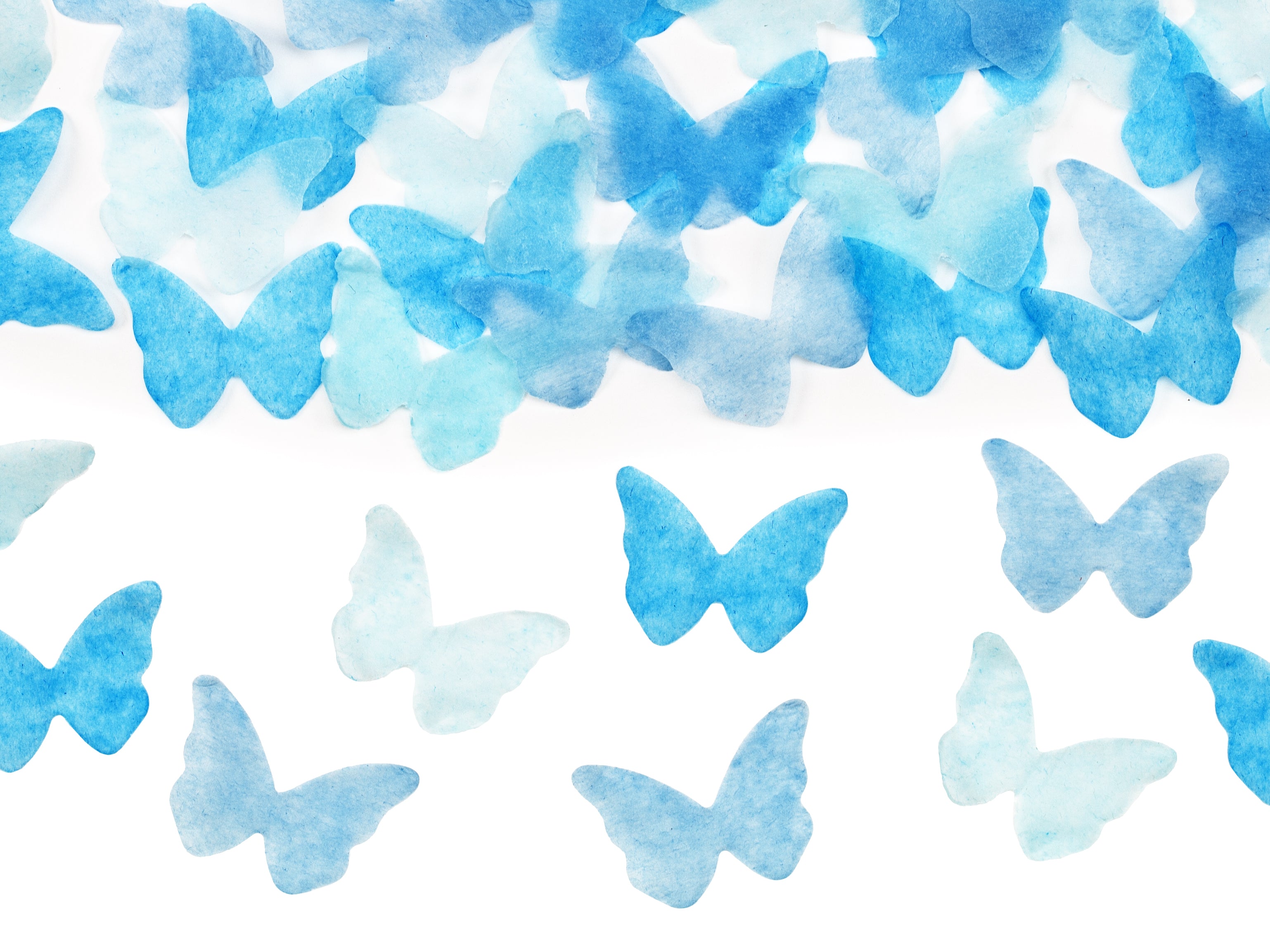 CONFETTI KANON BLAUW VLINDERS FEEST JONGEN GENDER REVEAL