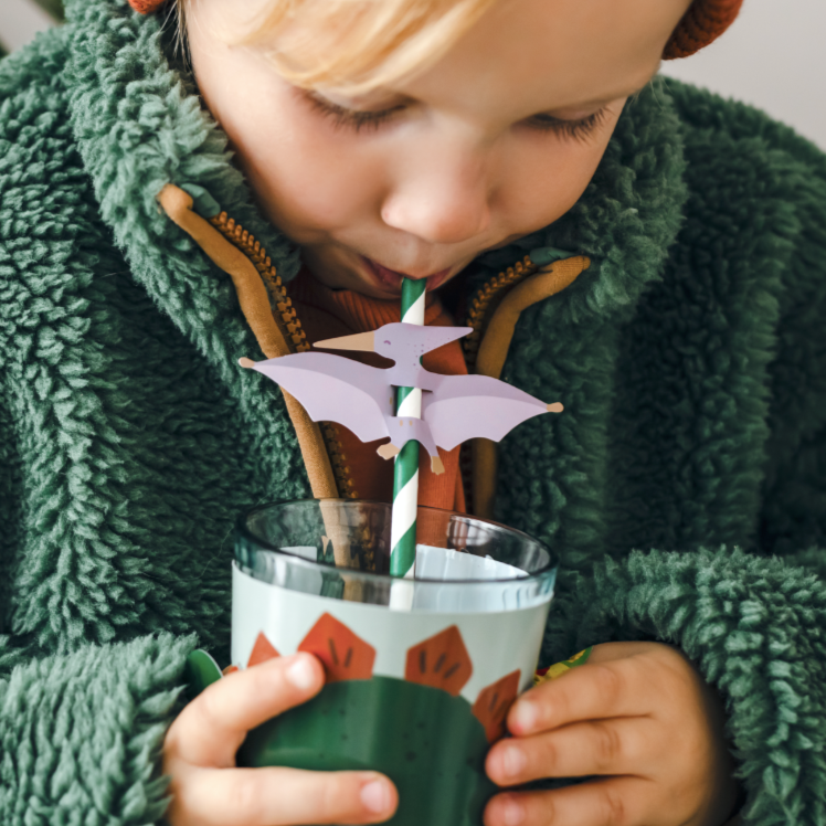 rietjes dino dinosaurussen feest deco decioratie verjaardag