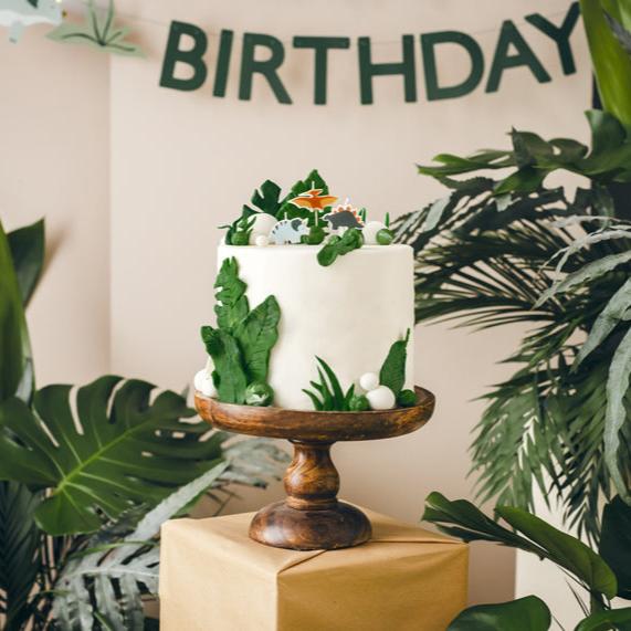 dino kaarsen dinosaurus verjaardag deco taart