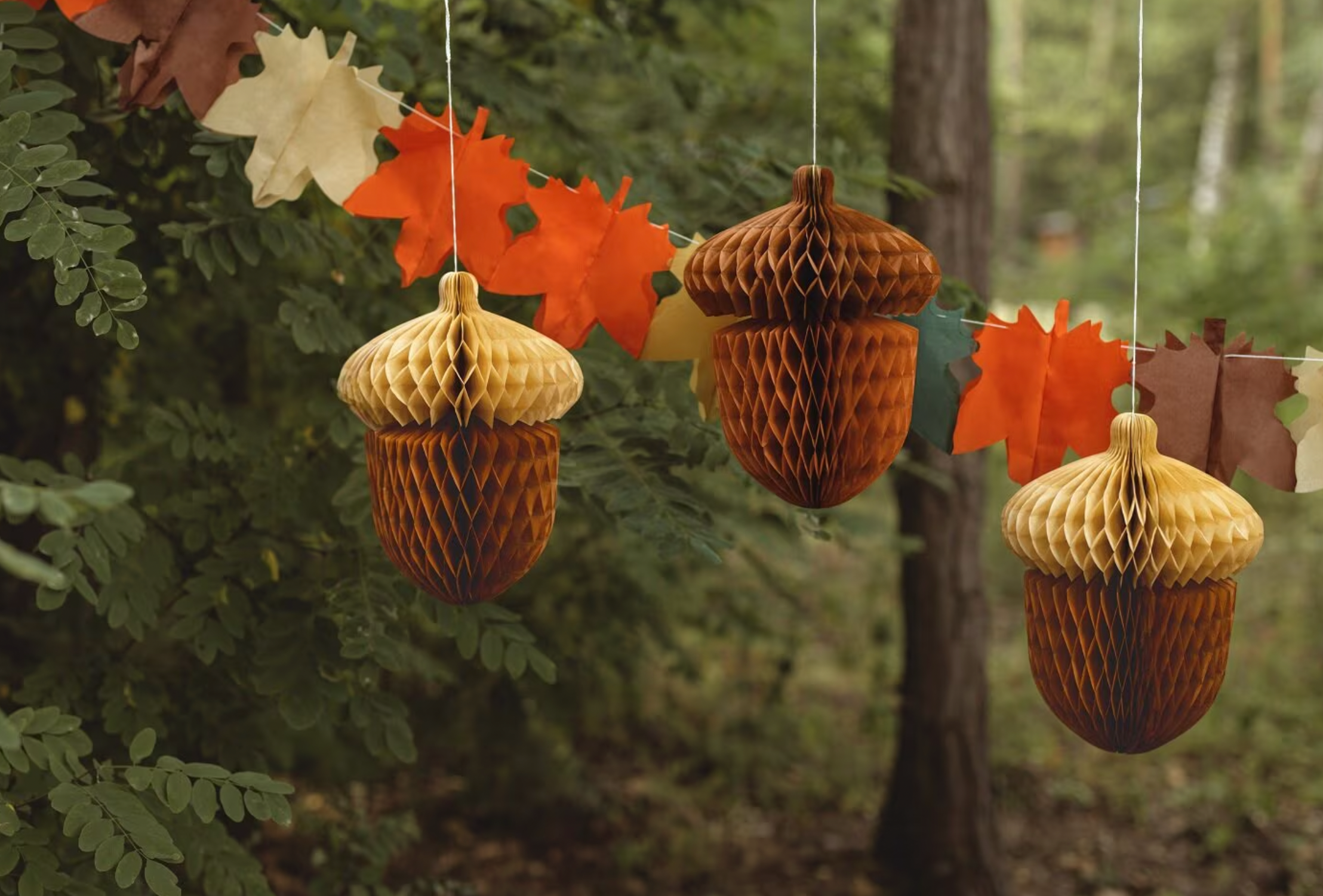 eikels herfst feest deco decoratie verjaardag bruin bos woodland bosdieren