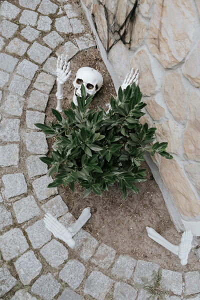 skelet decoratie halloween feest deco decoratie