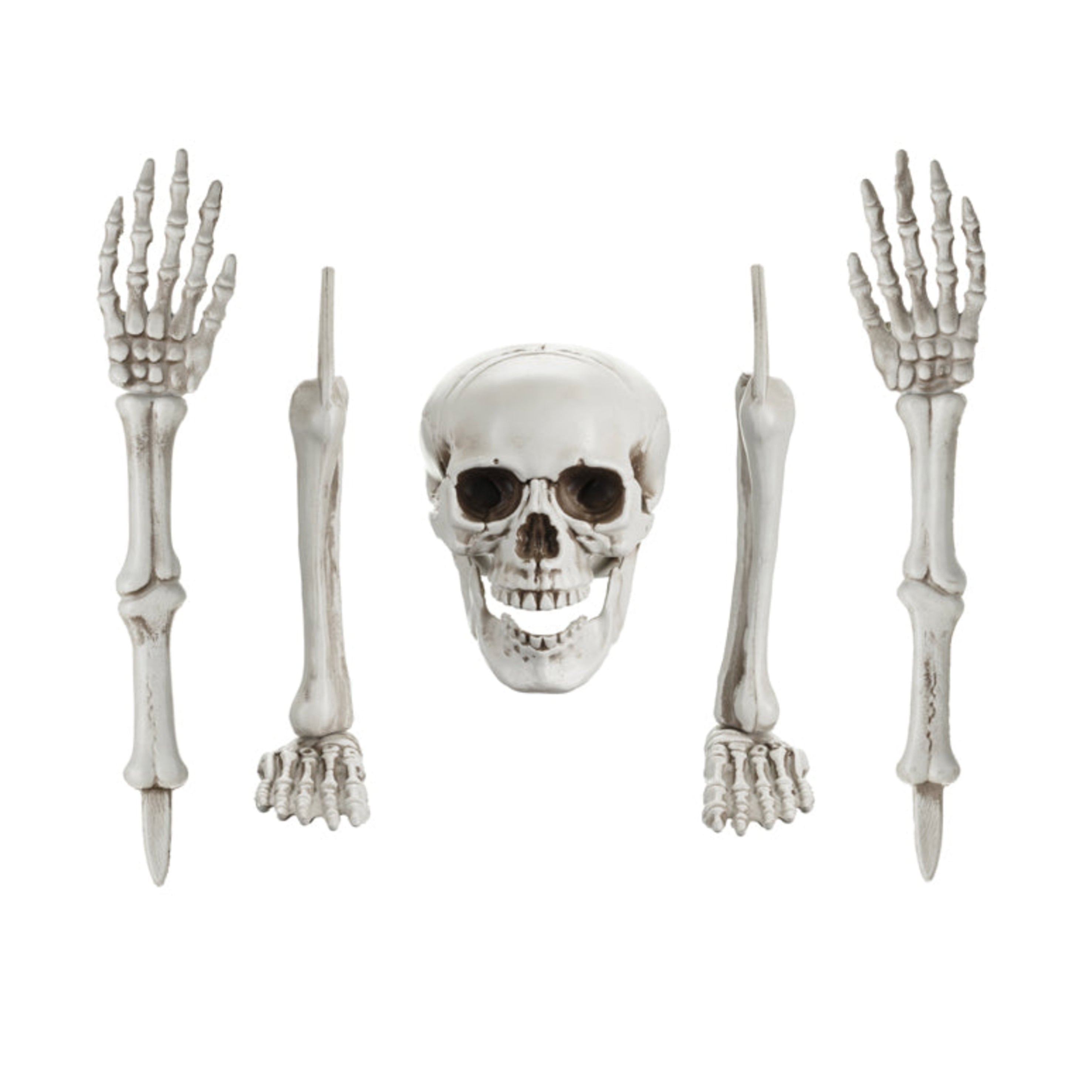 skelet halloween feest deco decoratie