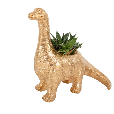 Brachiosaurus bloempot goud