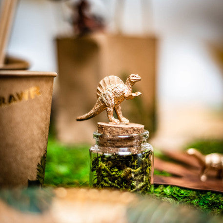 Mini dino's - 5 stuks