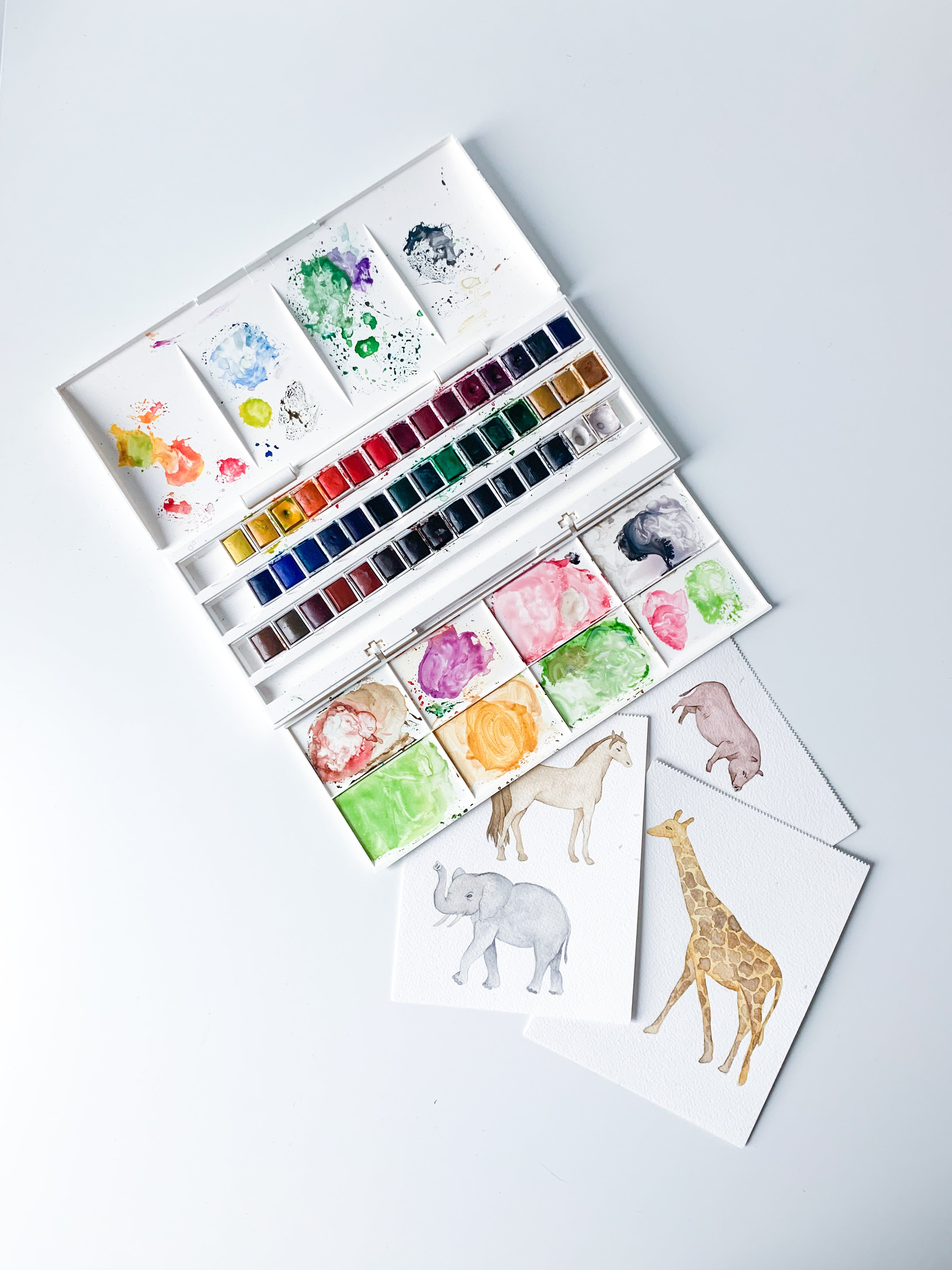 Mijlpaalkaarten 'Mijn eerste jaar' - Safari