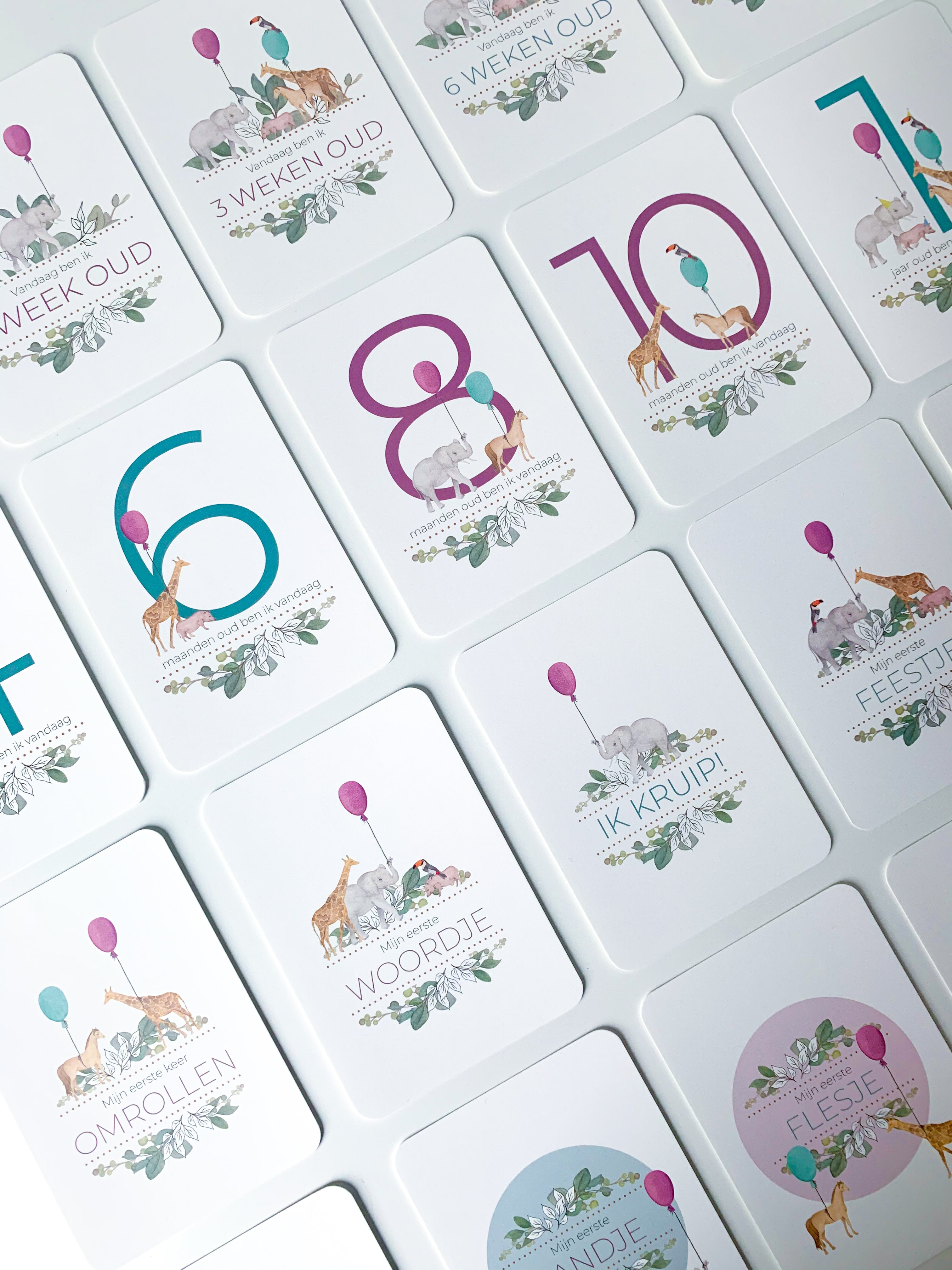 Mijlpaalkaarten 'Mijn eerste jaar' - Safari