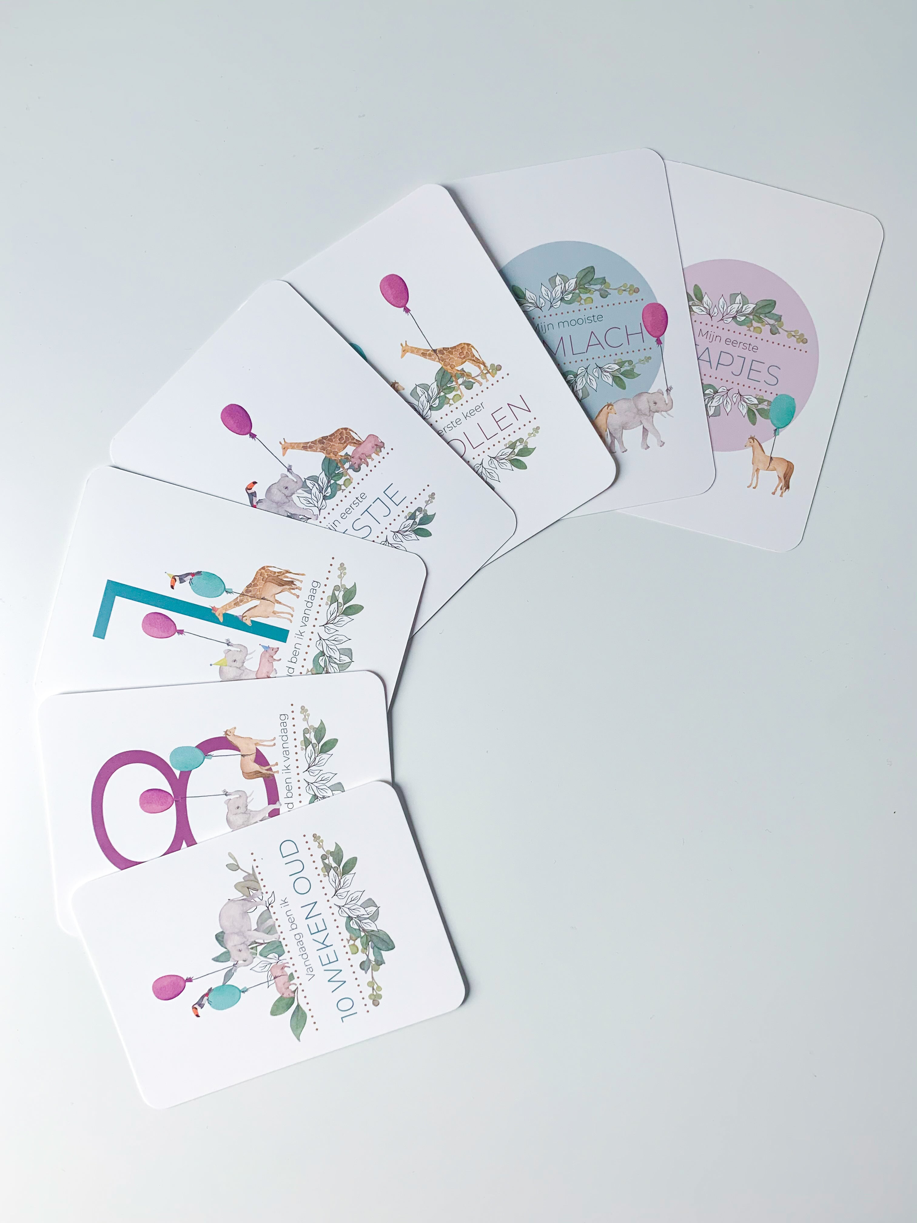 Mijlpaalkaarten 'Mijn eerste jaar' - Safari