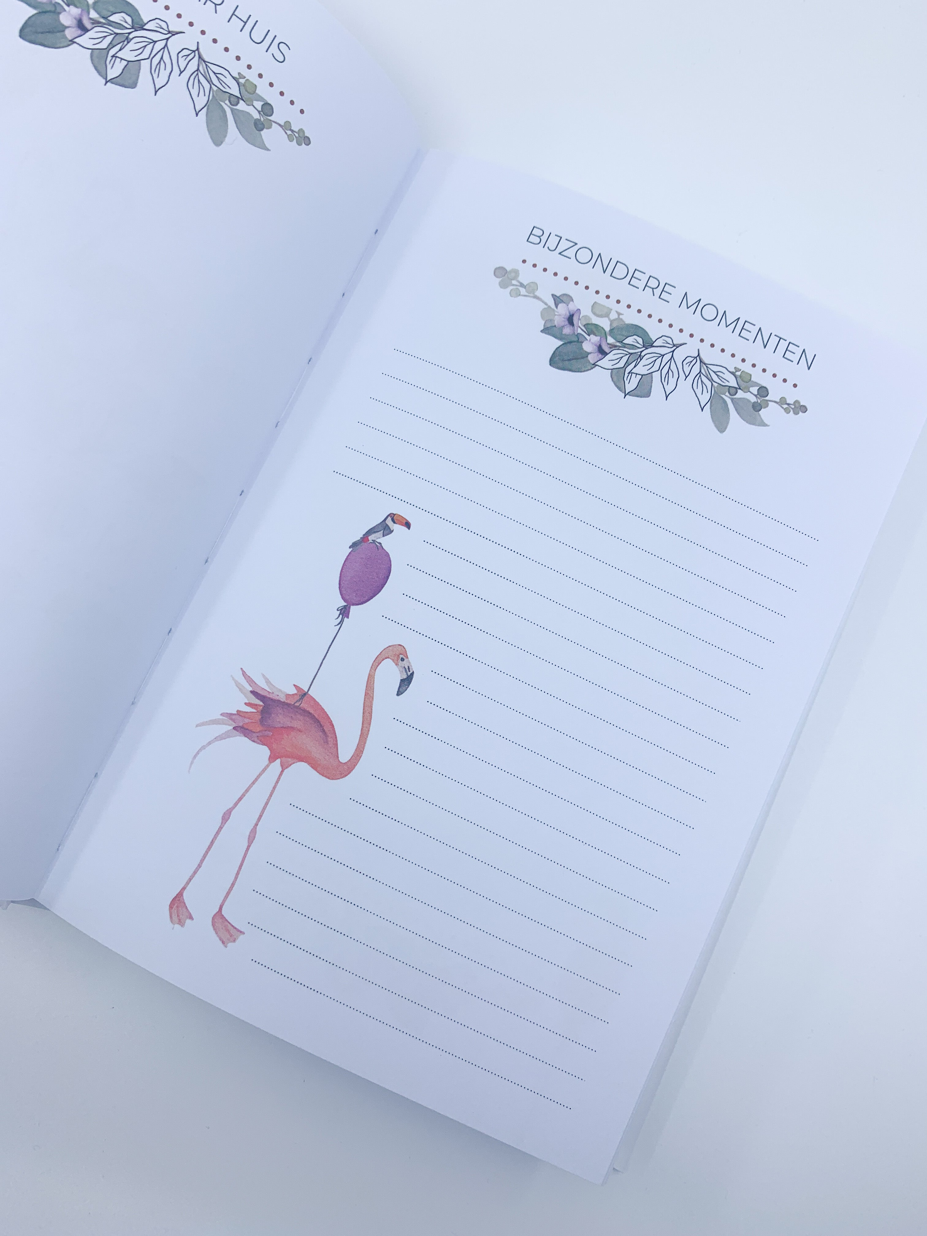 Invulboek 'Mijn eerste jaar' - Flamingo