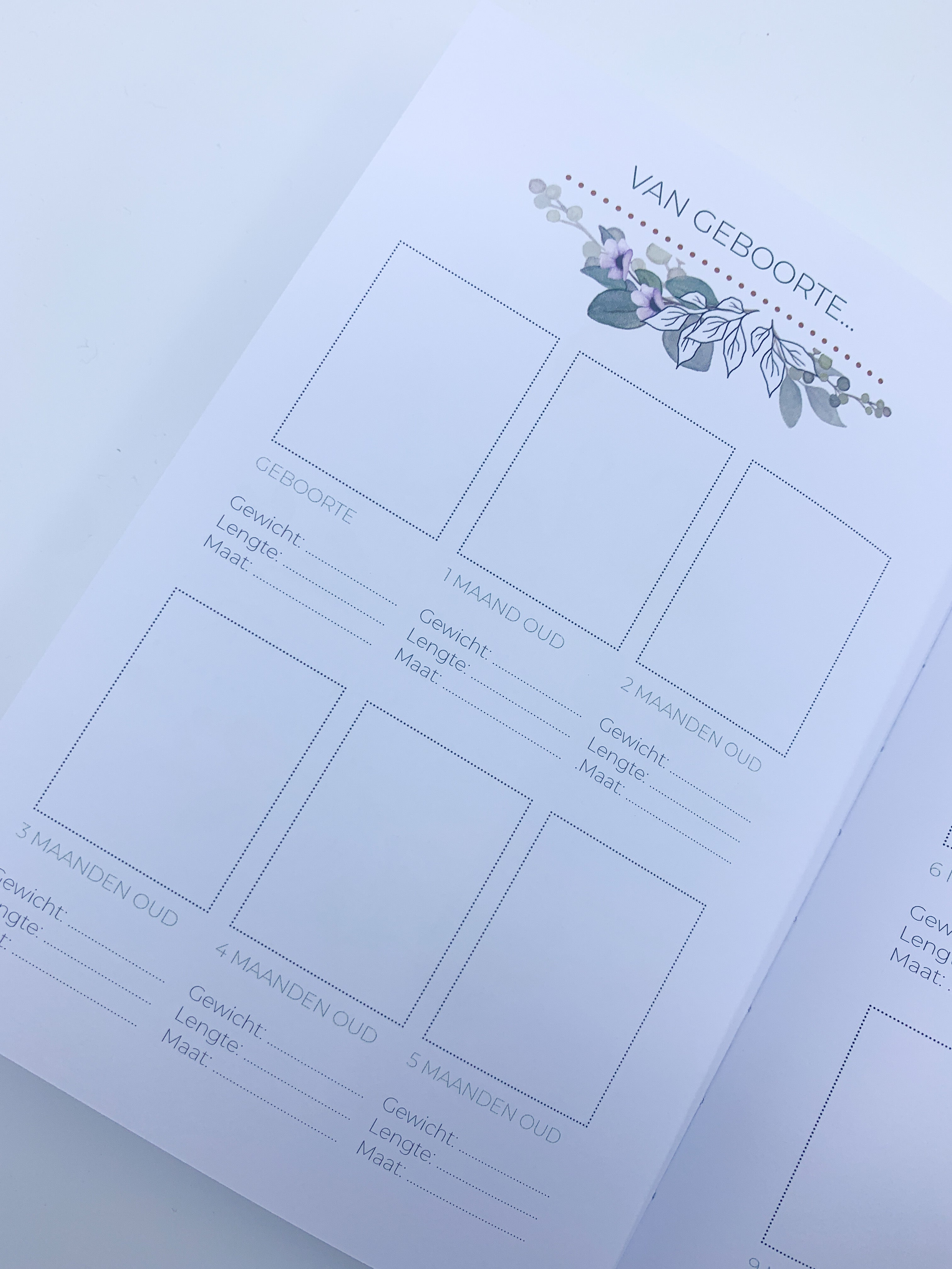 Invulboek 'Mijn eerste jaar' - Flamingo