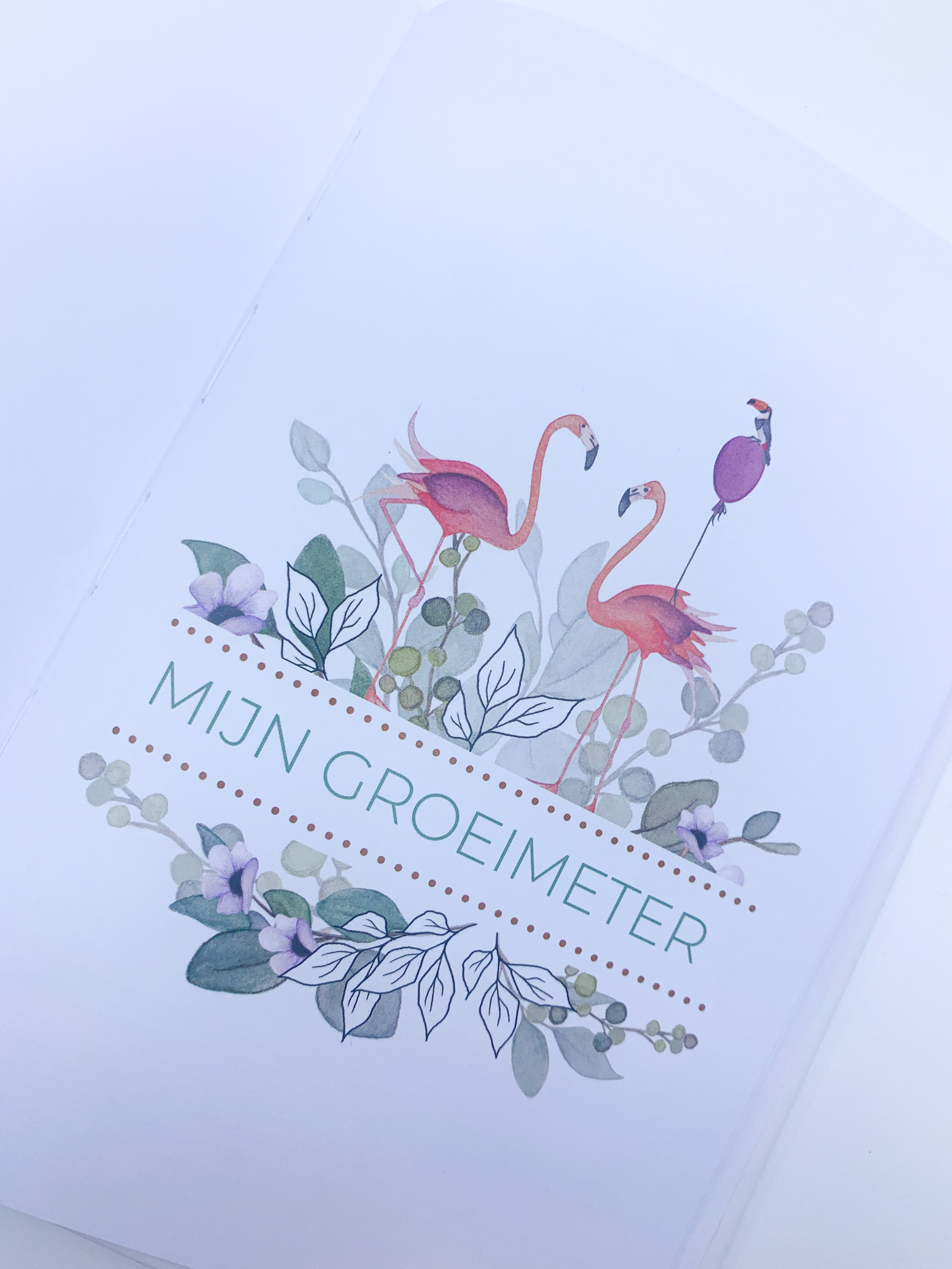 Invulboek 'Mijn eerste jaar' - Flamingo