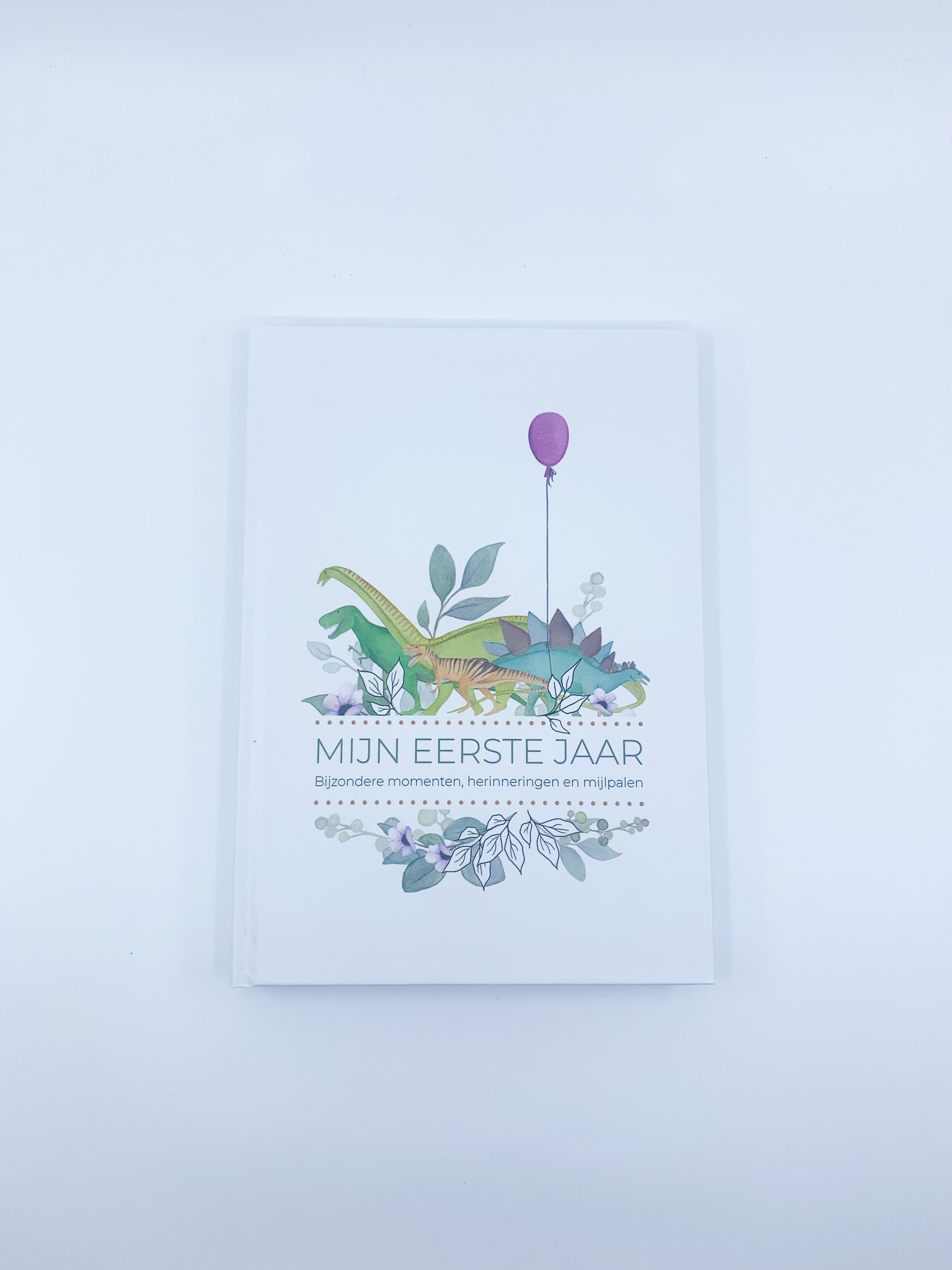 Invulboek 'Mijn eerste jaar' - Dino