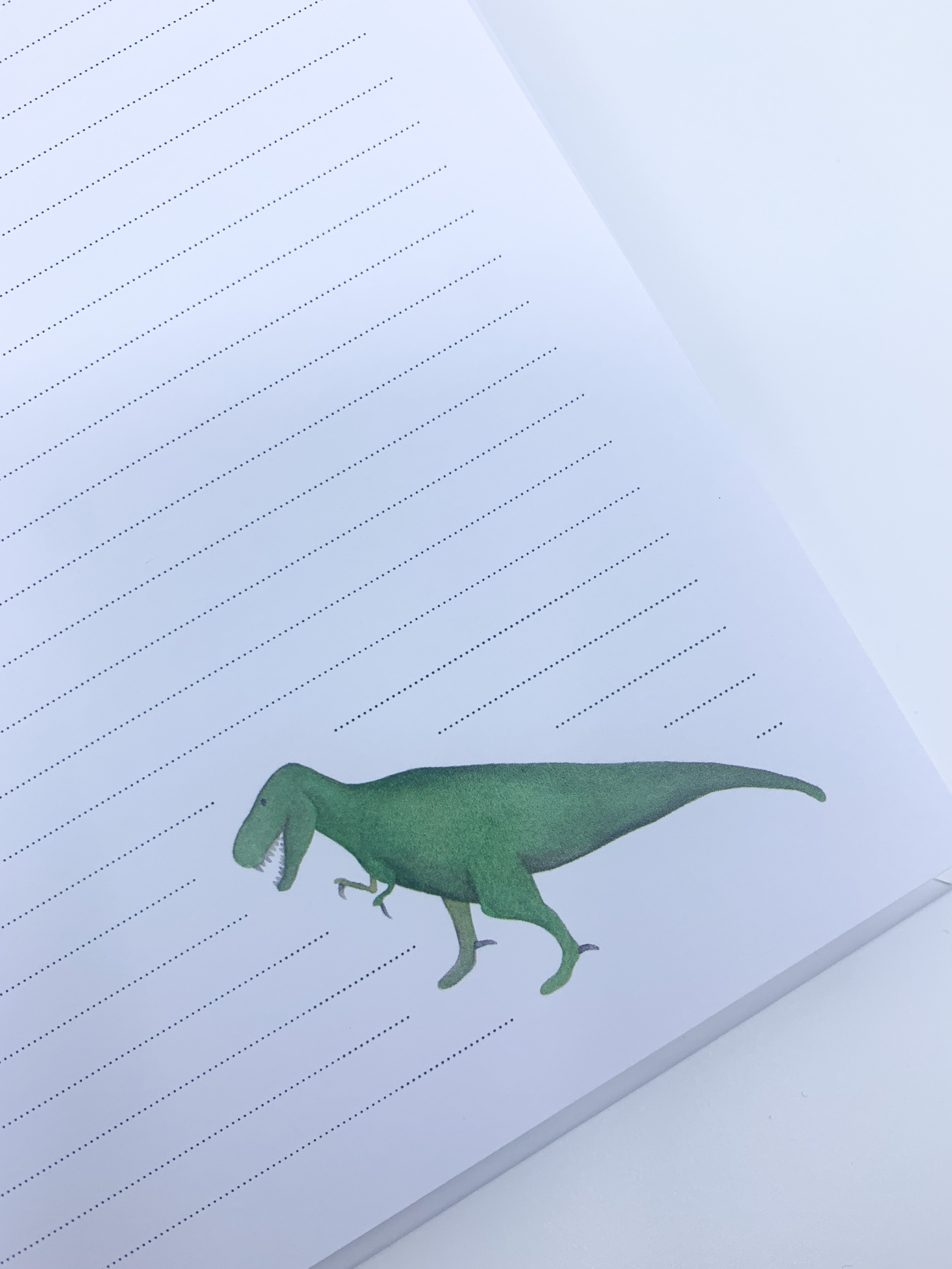 Invulboek 'Mijn eerste jaar' - Dino