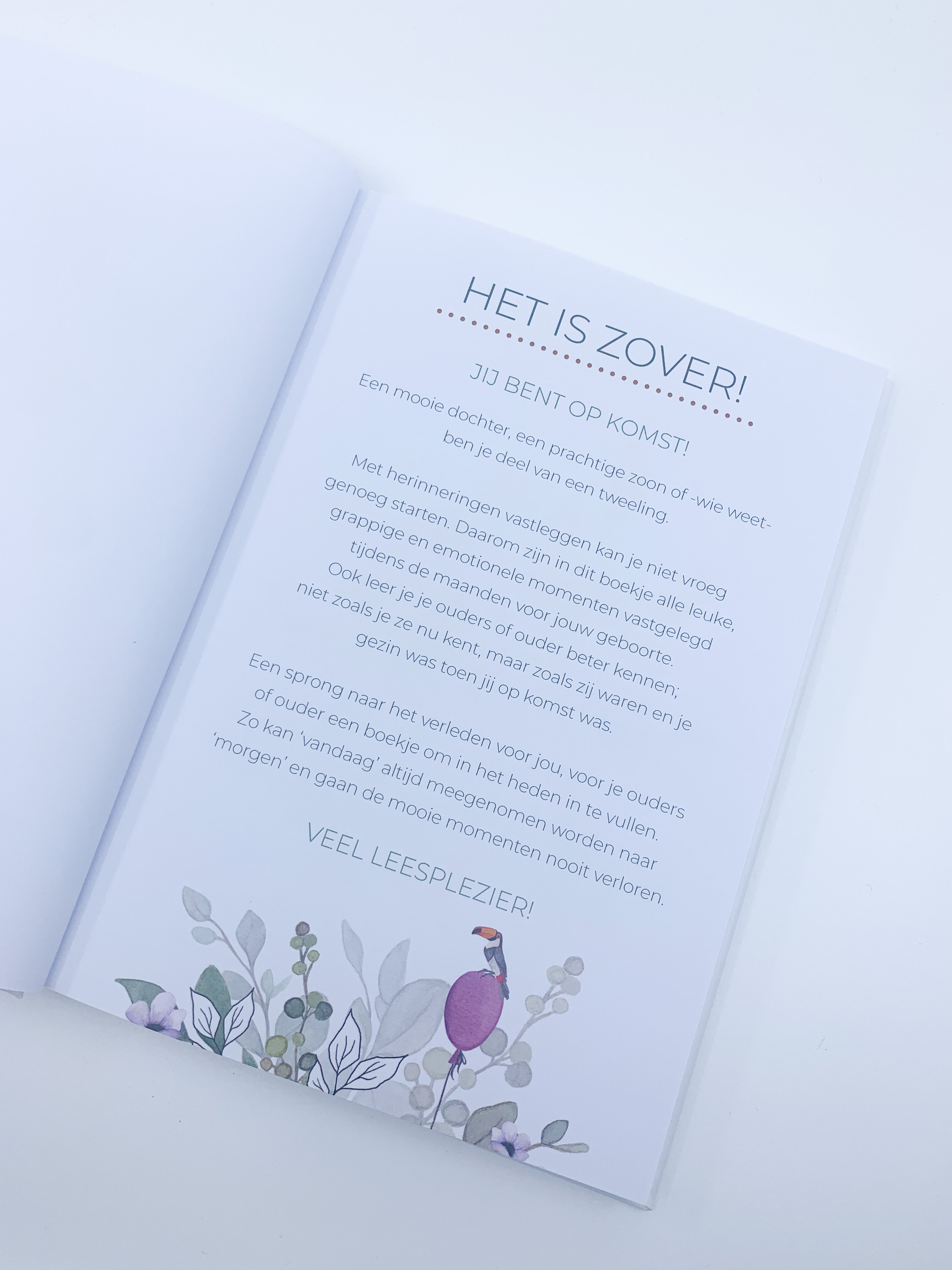 Invulboek zwangerschap ‘Baby on the Way’ - Flamingo
