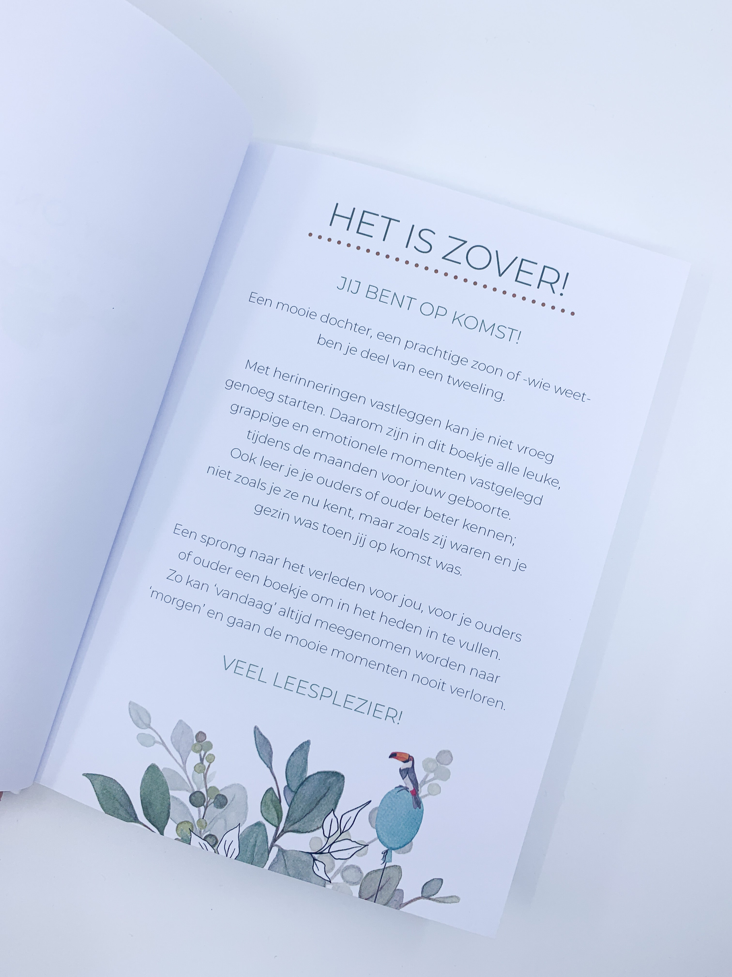 Licht beschadigd invulboek 'Baby on the way' - Safari