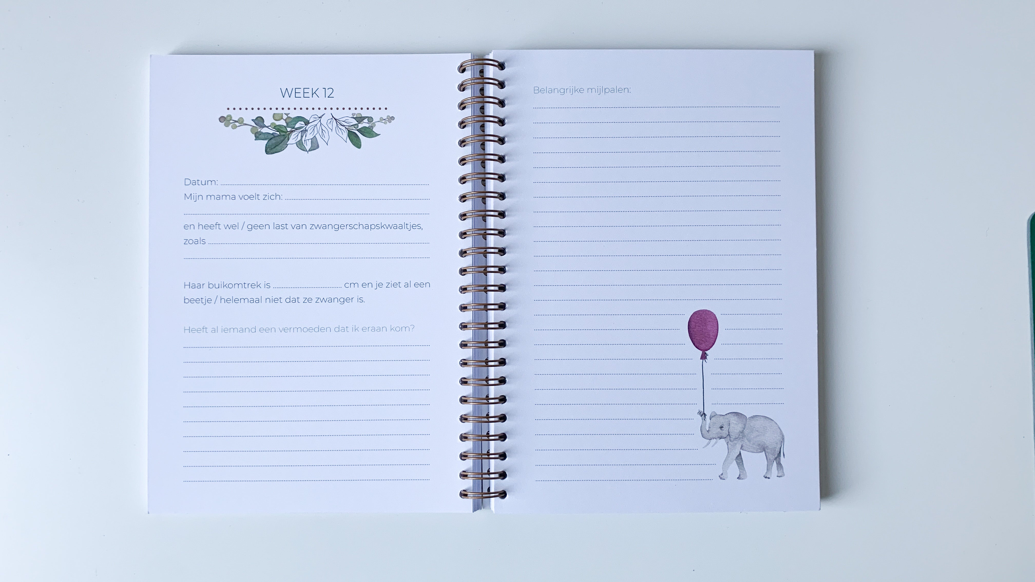 Invulboek 'Baby on the Way' spiraalbinding - Safari