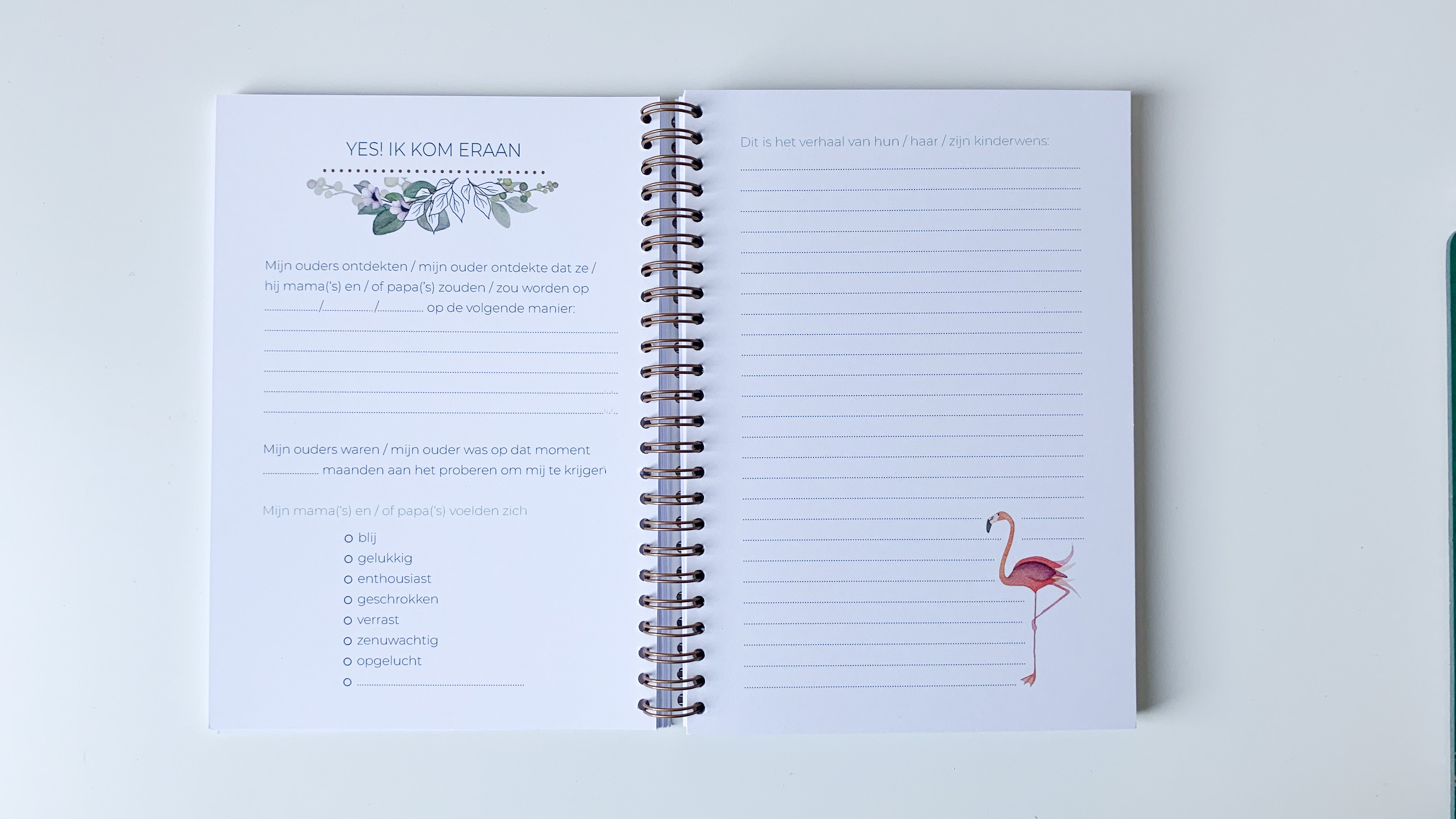 Invulboek 'Baby on the Way' spiraalbinding - Flamingo