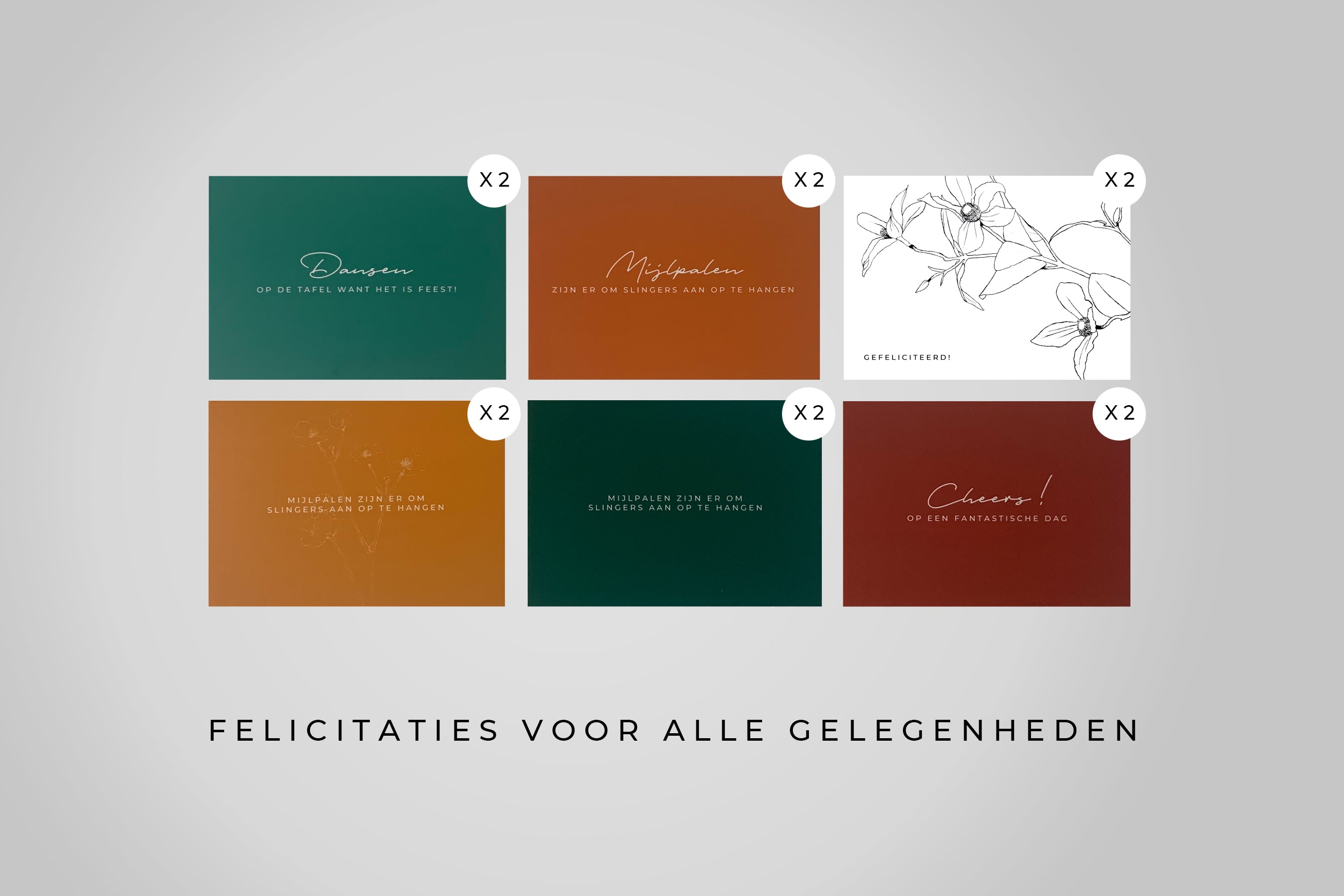 Een wens voor ieder feest moment - 24 kaarten met enveloppen