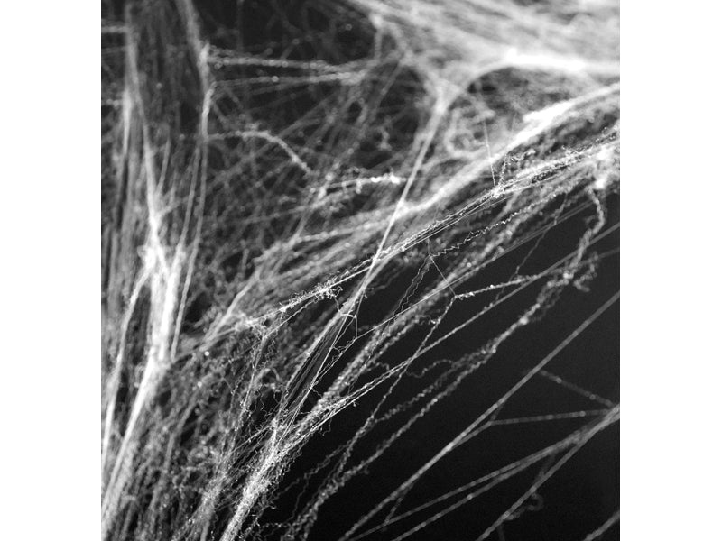 Spinnenweb spiderman halloween spin web