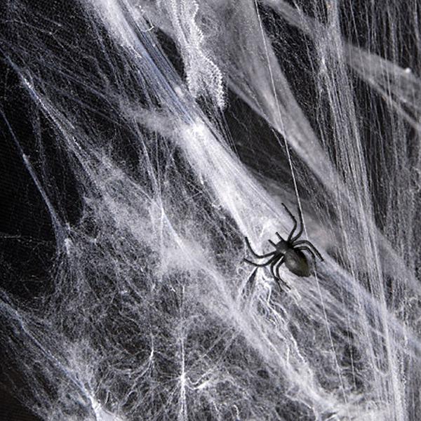Spinnenweb spiderman halloween spin web