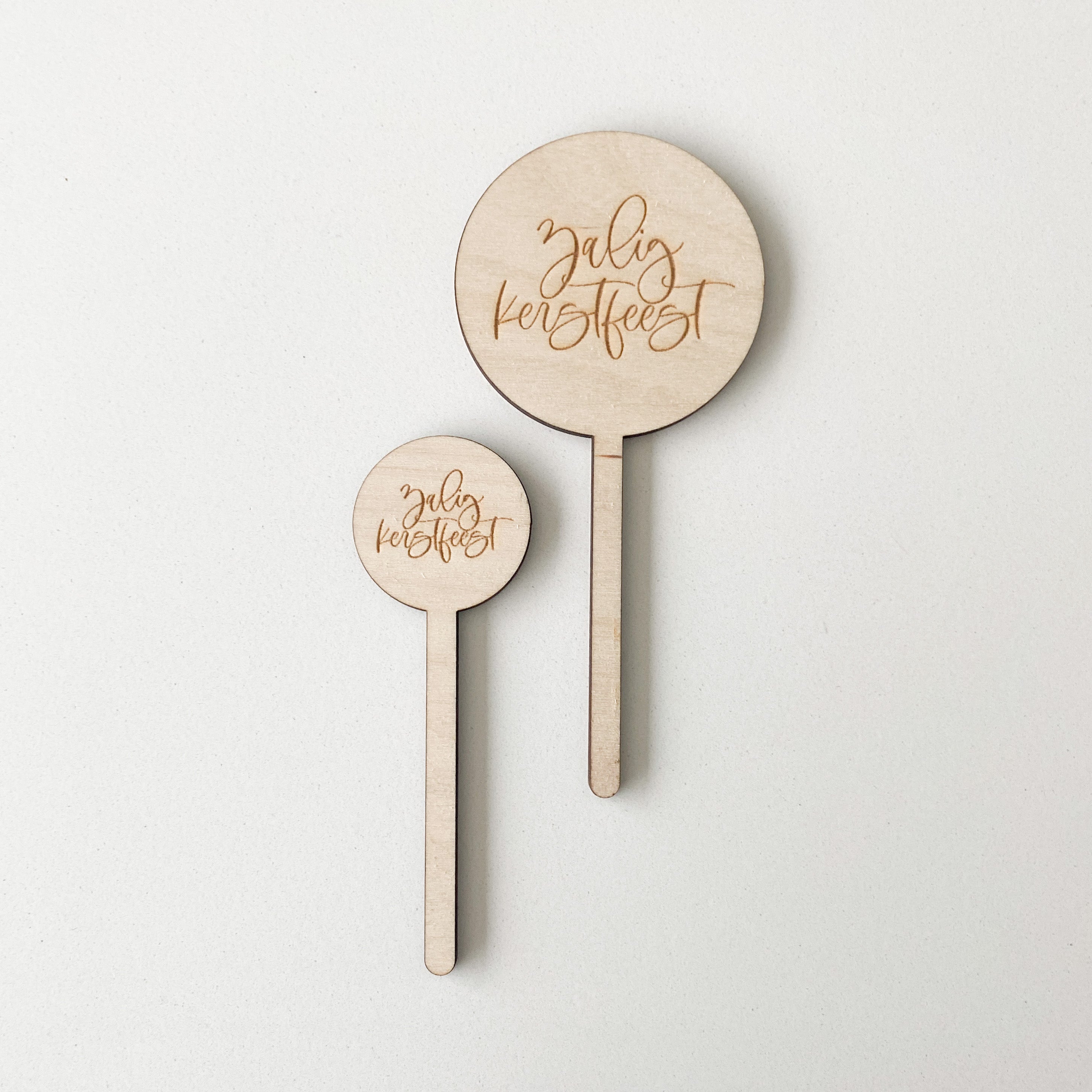 Set plantenprikkers 'Zalig Kerstfeest'