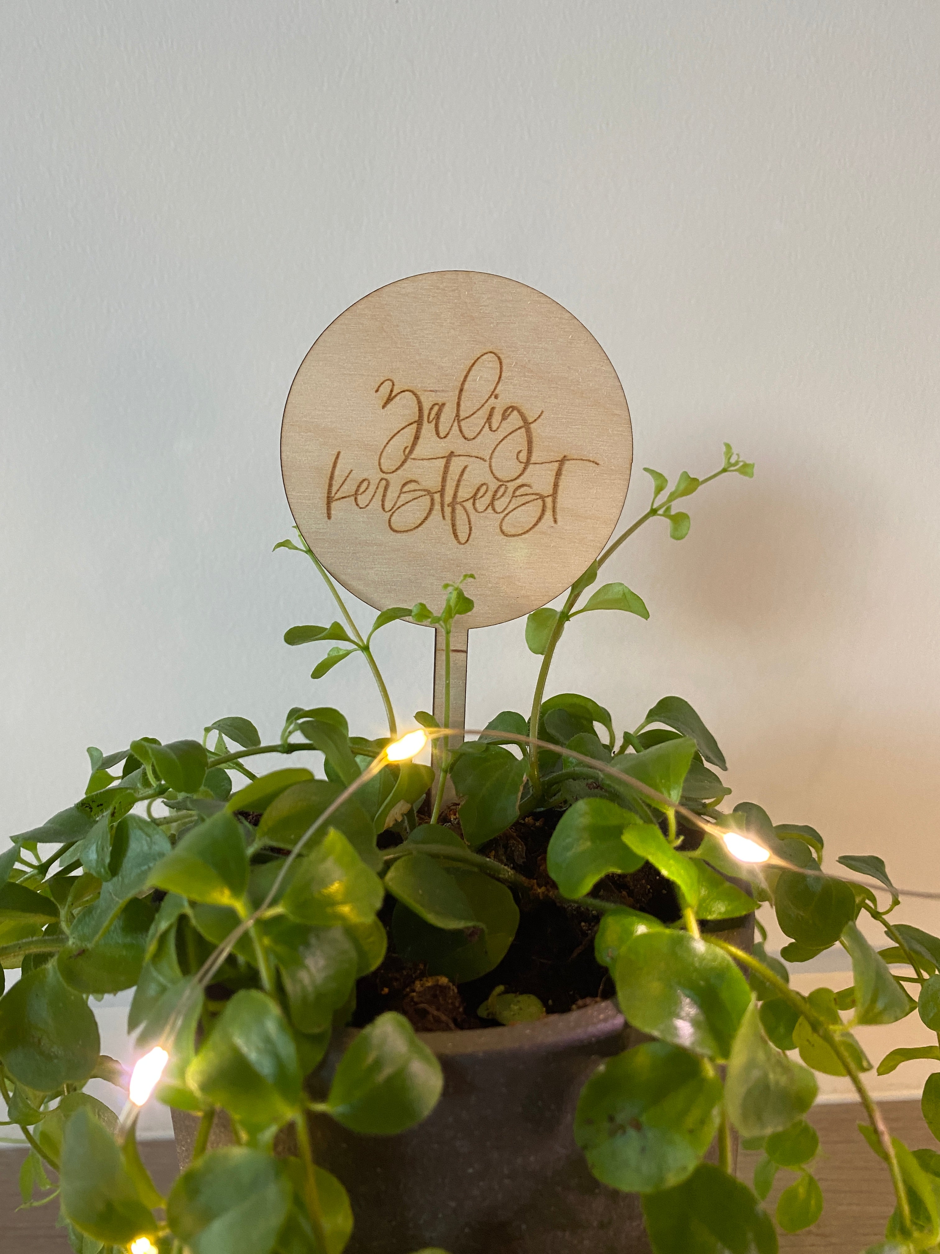 Set plantenprikkers 'Zalig Kerstfeest'