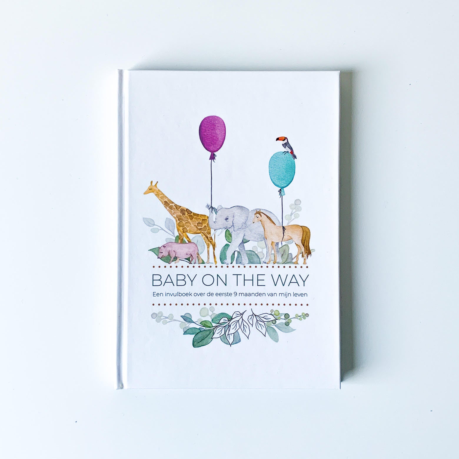 Invulboek zwangerschap 'Baby on the way' - Safari