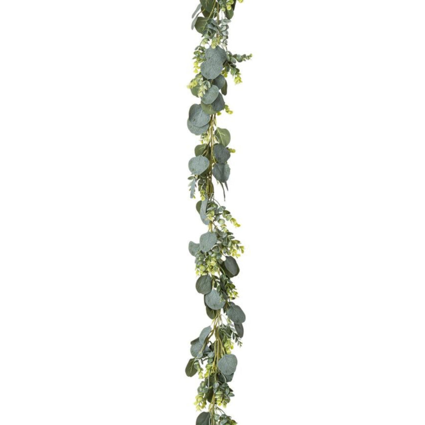 Eucalyptus slinger (1,9m)