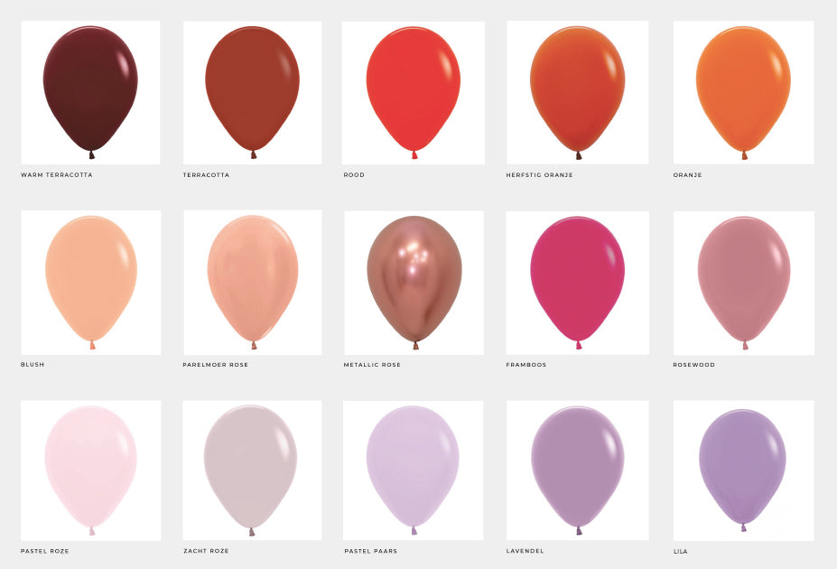 Mini ballonslinger taarttopper met zelf samengesteld kleurenpallet