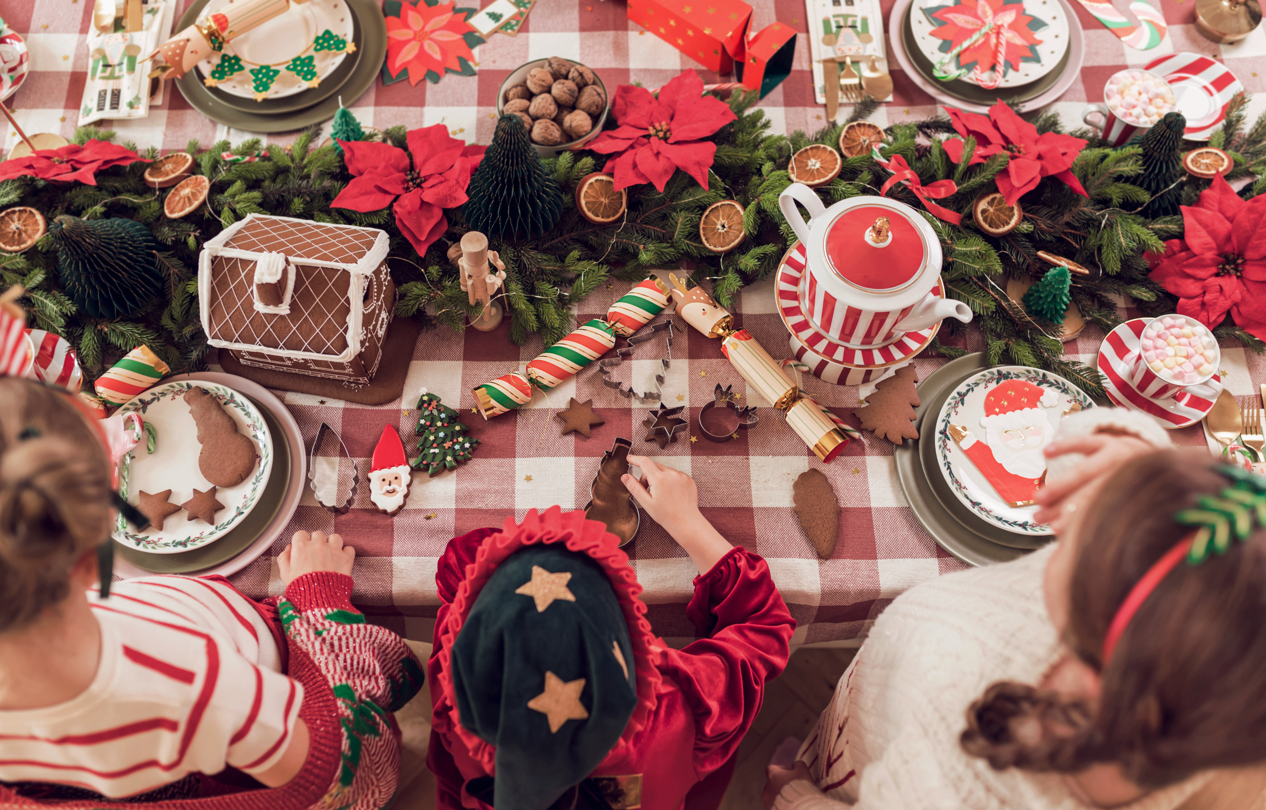elfenhoed feest deco decoratie verjaardag verkleden feest kerst elfjes