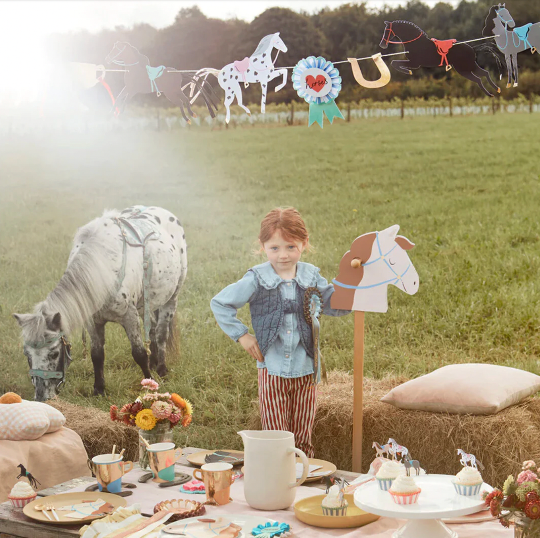 paarden cupcake kit horse dieren boerderij taart cupcakes deco decoratie verjaardag feestversiering
