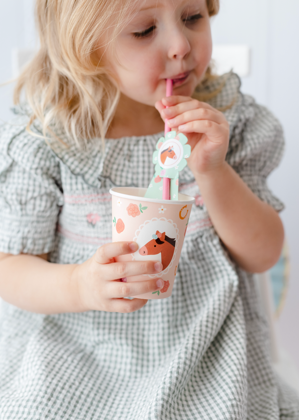 rietjes paarden feest deco decoratie verjaardagsdecoratie dieren boerderij