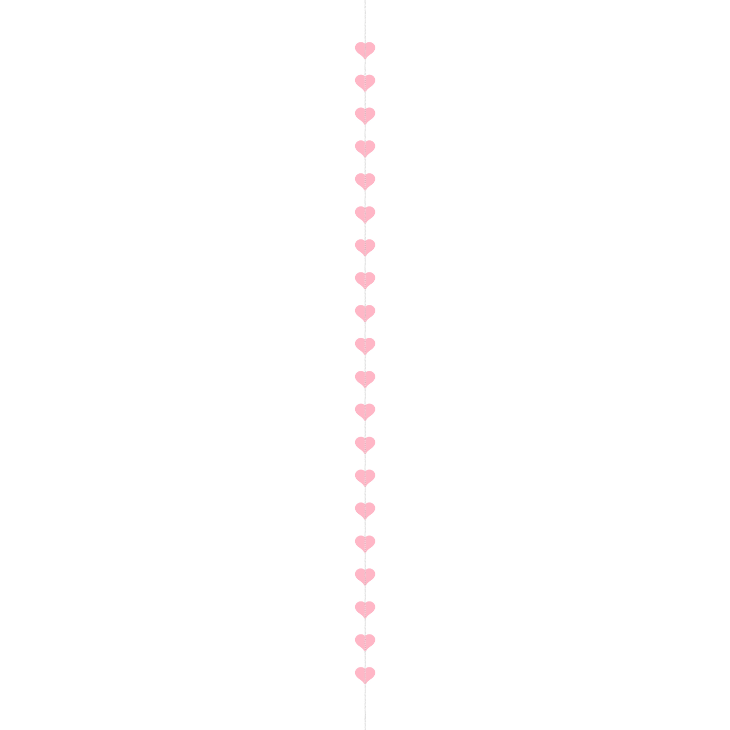 slinger rose houd hart hartjes valentijn feest liefde slinger deco decoratie verjaardag