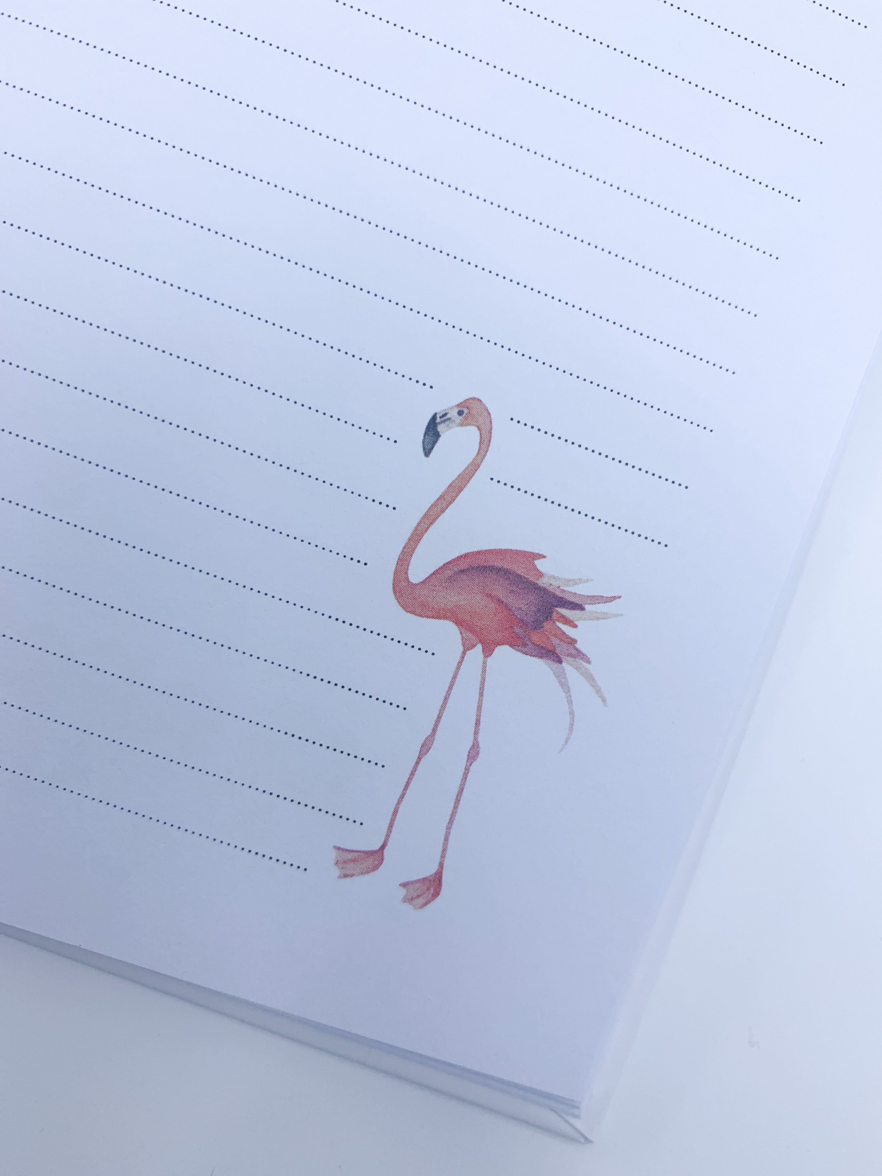 Invulboek zwangerschap ‘Baby on the Way’ - Flamingo