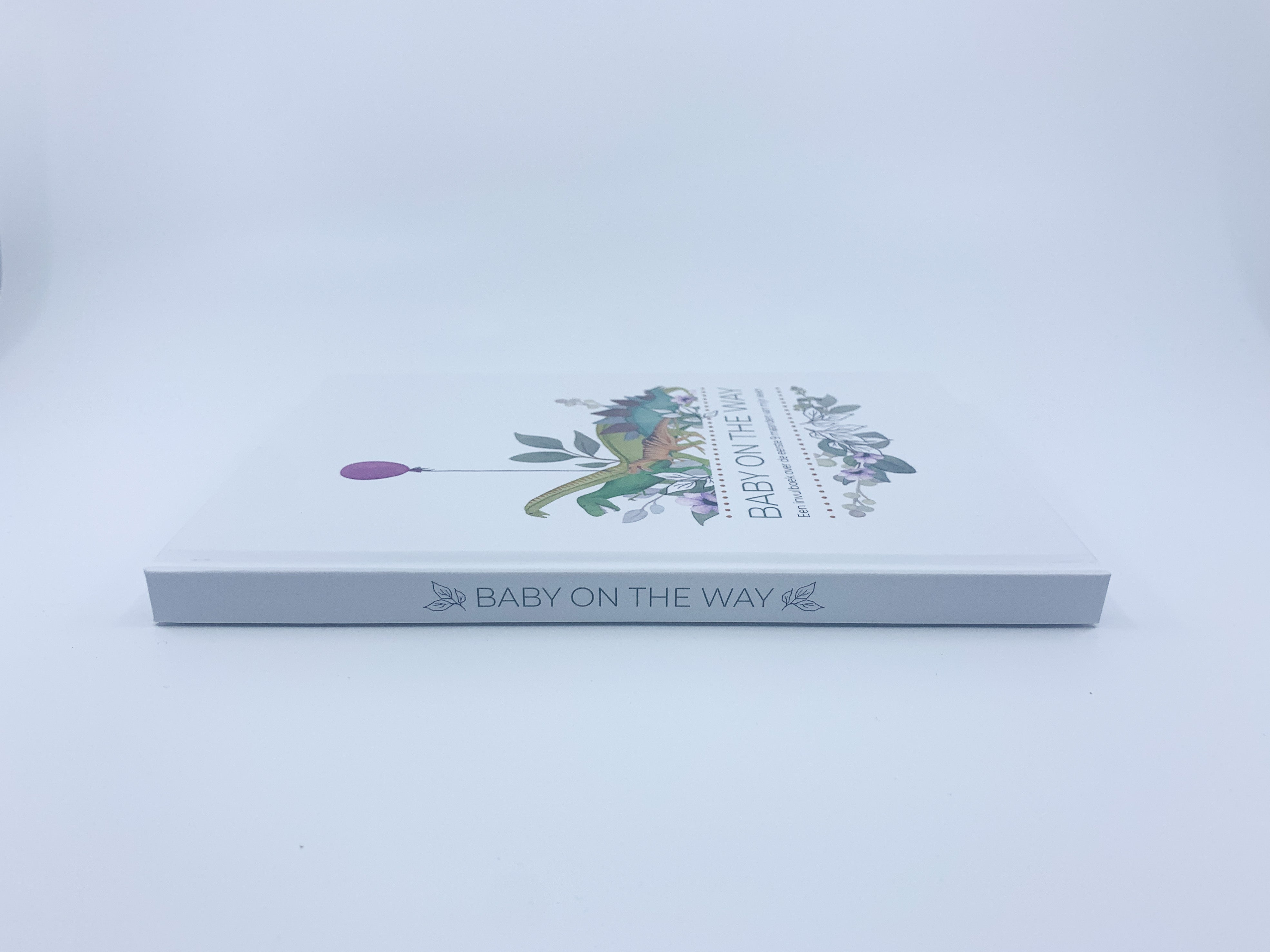 Invulboek zwangerschap ‘Baby on the Way’ - Dino