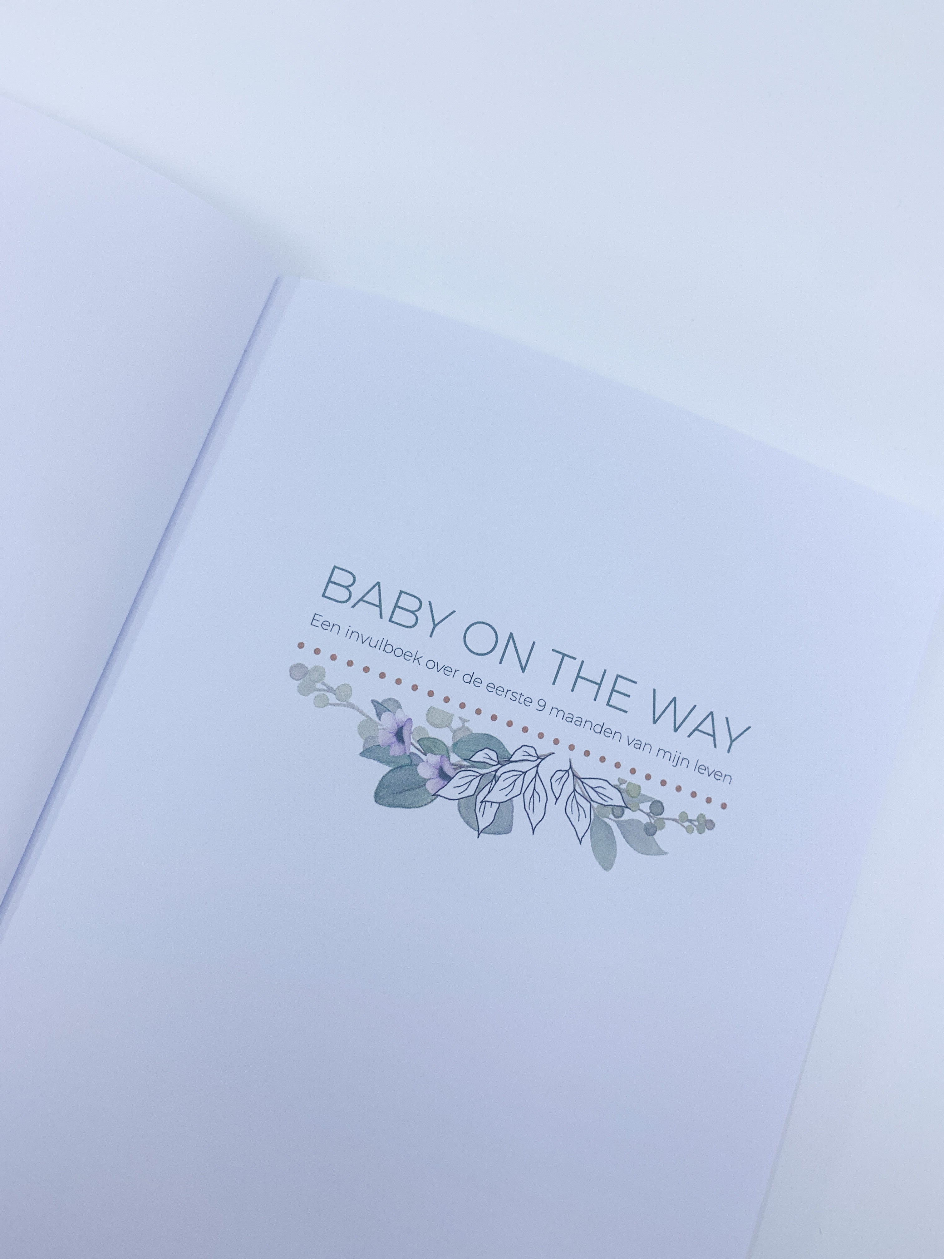 Invulboek zwangerschap ‘Baby on the Way’ - Dino