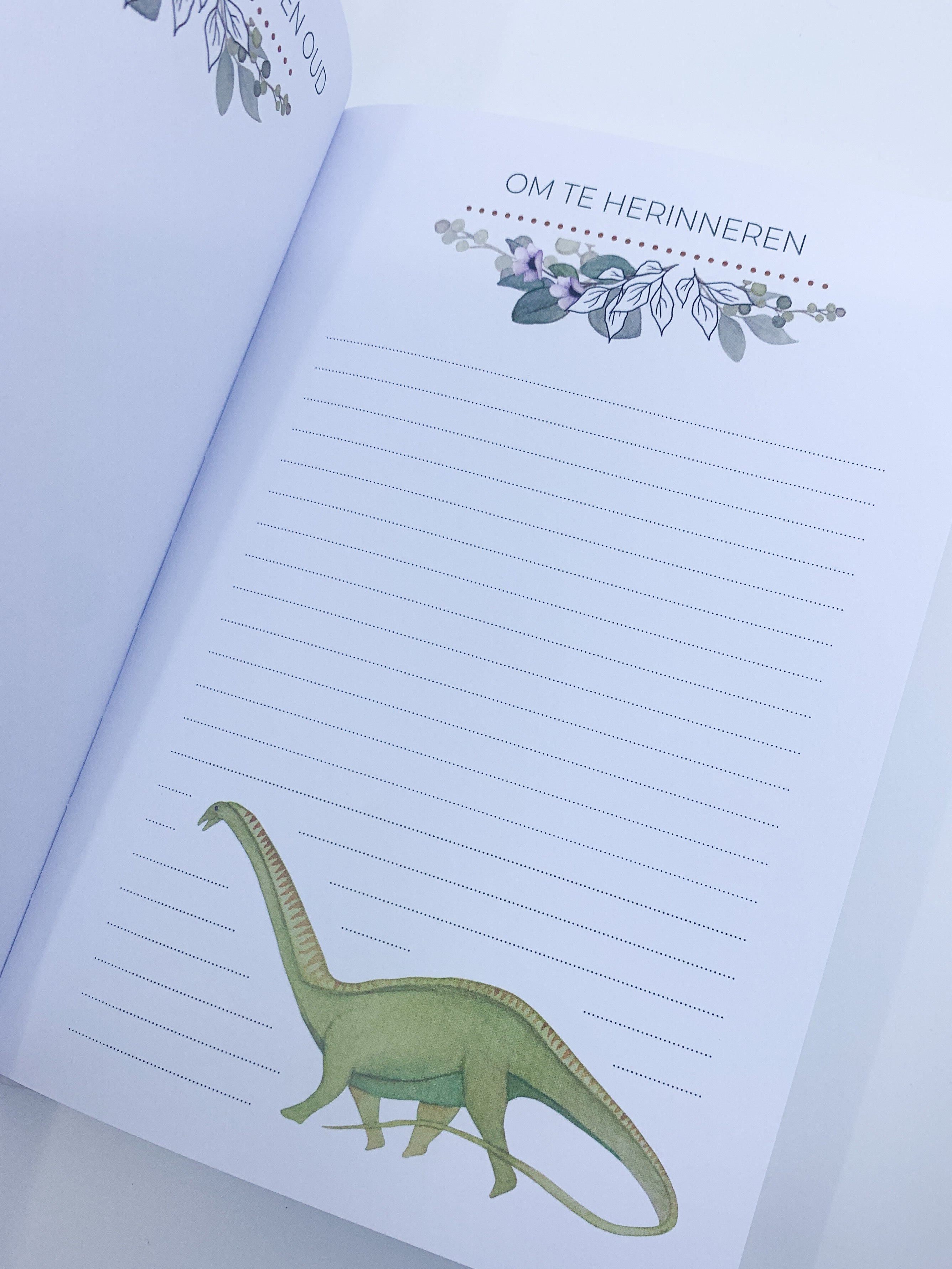 Invulboek 'Mijn eerste jaar' - Dino