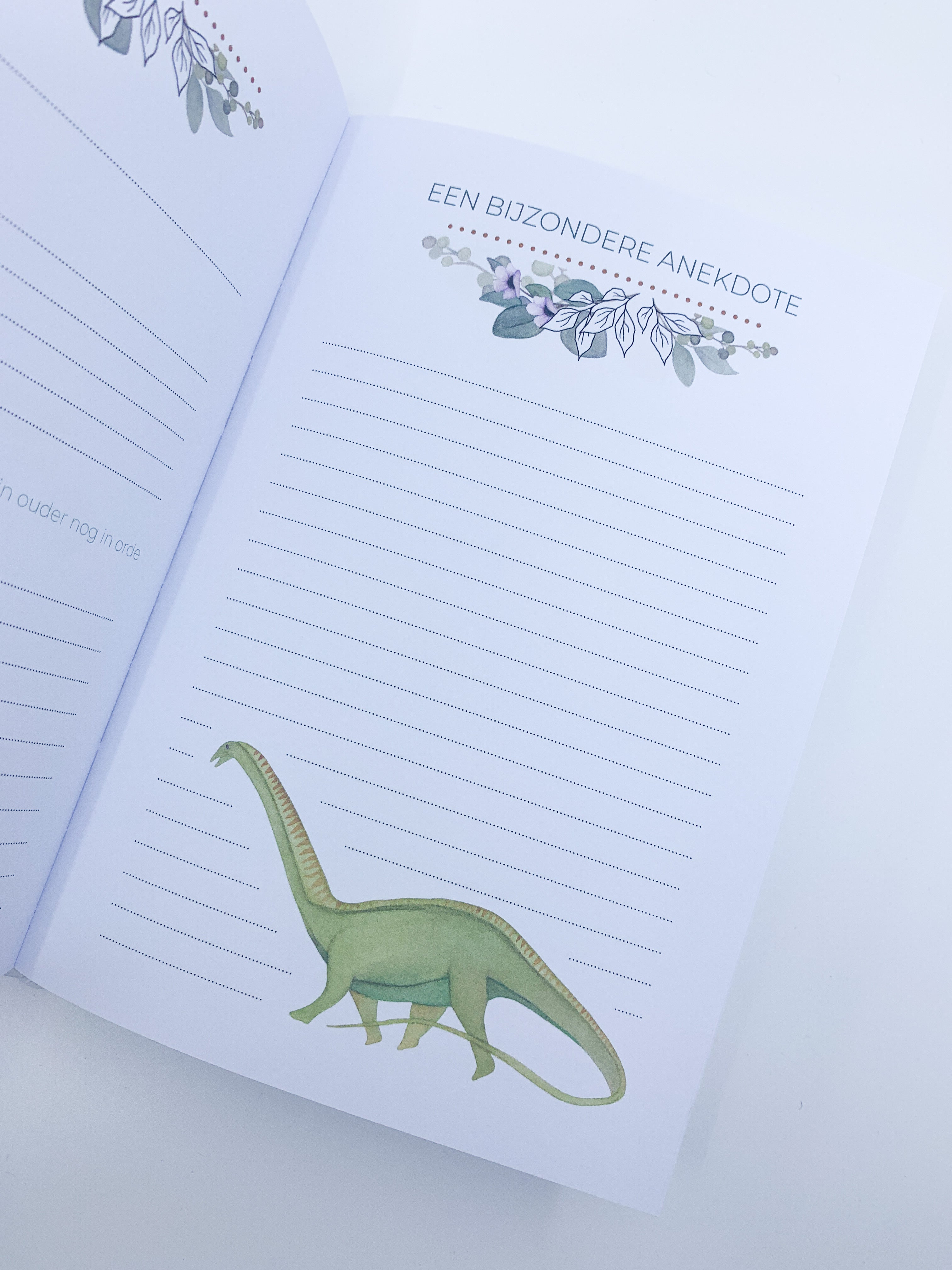 Invulboek zwangerschap ‘Baby on the Way’ - Dino