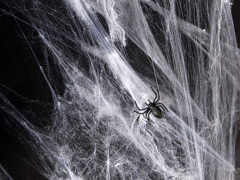 Spinnenweb spiderman halloween spin web