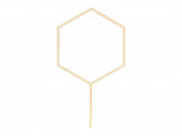 taart cake topper hexagon droogbloemen bloemen decoratie feest